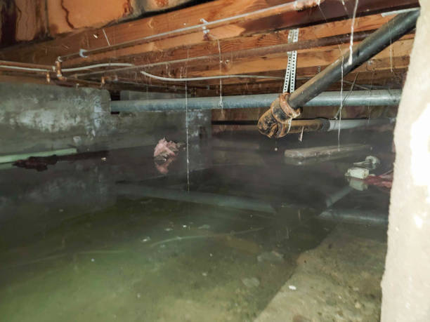 Best Water damage restoration near me  in Northlakes, NC