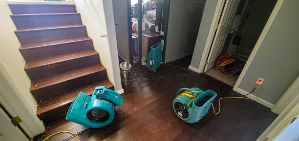Best Professional water damage repair  in Northlakes, NC