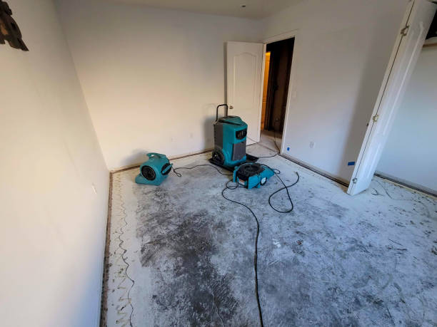 Best Water damage contractors near me  in Northlakes, NC