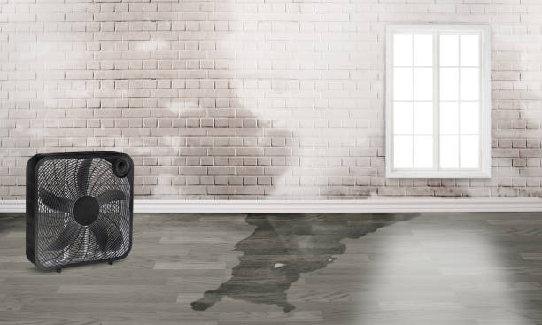 Best Commercial water damage restoration  in Northlakes, NC