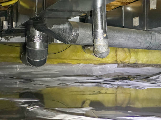 Best 24/7 water damage repair  in Northlakes, NC