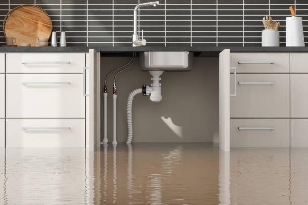 Trusted Northlakes, NC Water damage restoration Experts