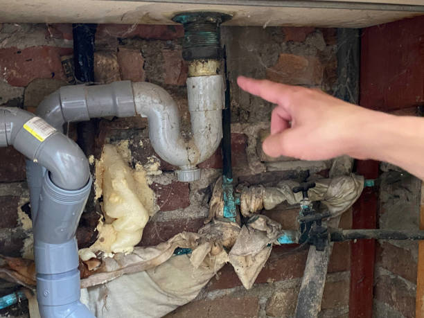 Best Flood damage cleanup  in Northlakes, NC