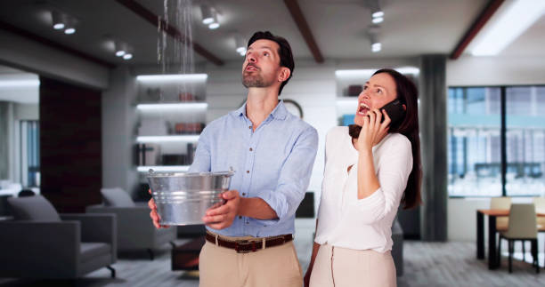 Best Local water damage restoration  in Northlakes, NC